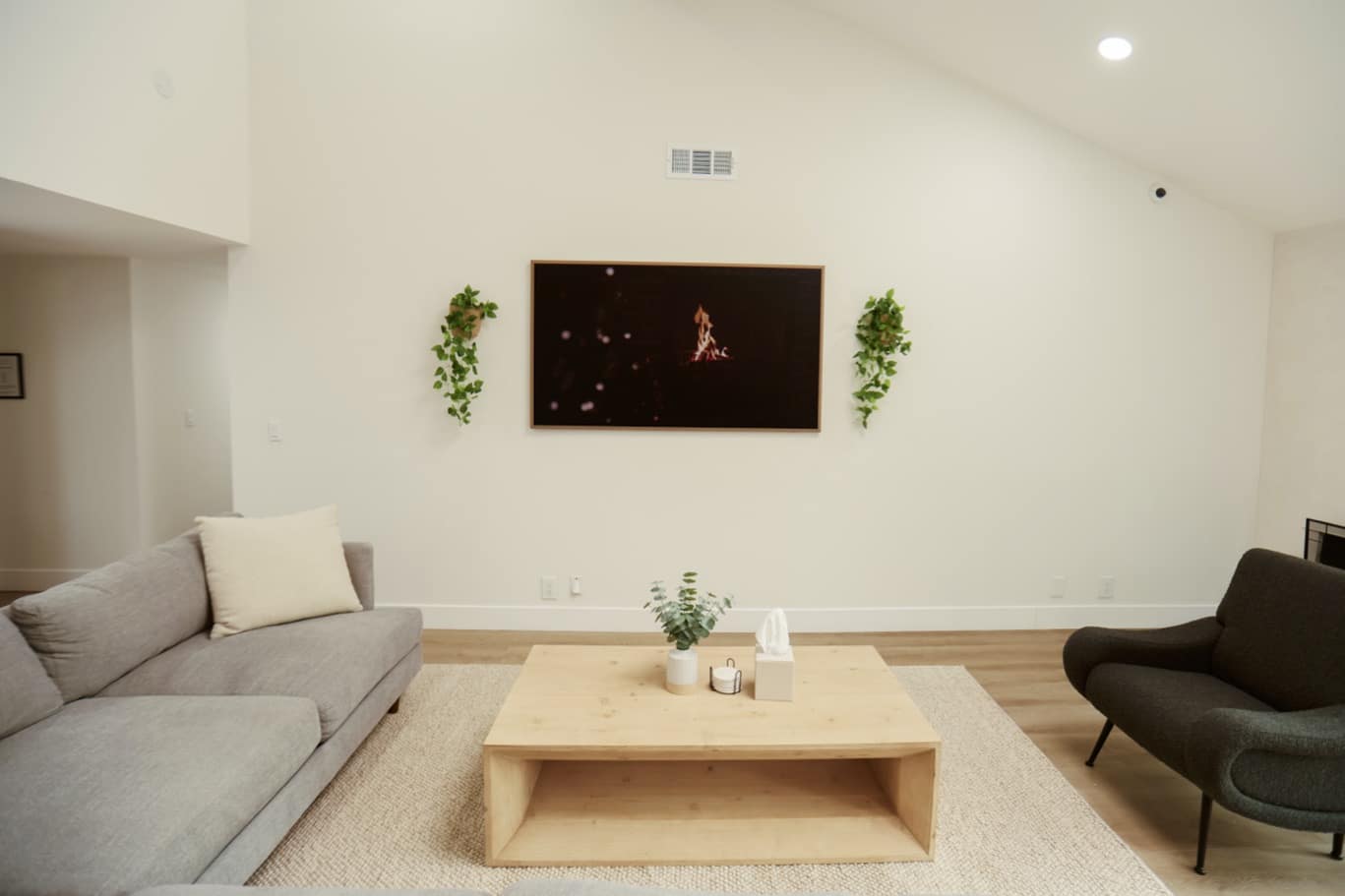 CariHouse1JaredSislinPhoto-27-copyjpg - Lonestar Mental Health Modern living room design with gray sofa, wood coffee table, and TV with decorative plants for a cozy home interior.